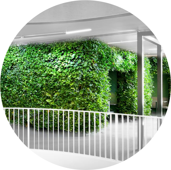 Indoor Living Walls