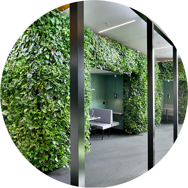 Plantscaping with a green wall has a huge impact on indoors