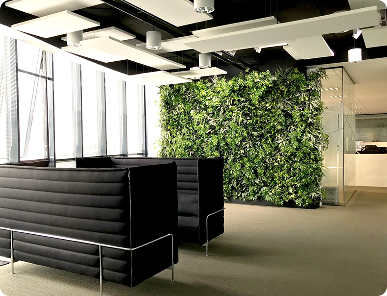 Green Wall Installation Company - Consultation