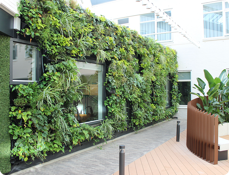 Planting your green wall