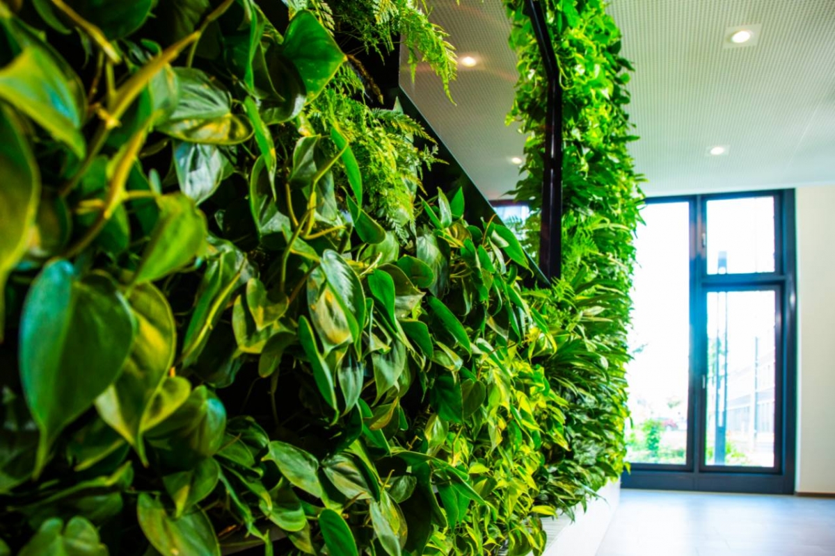 Living Walls Change the Focus in Your Office Space 